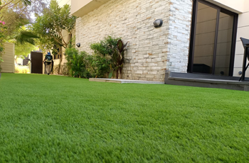 Artificial grass outside modern home