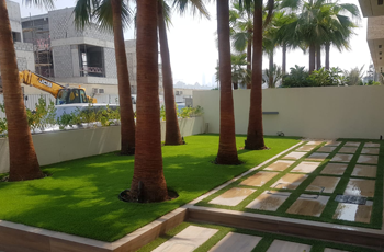 artificial-grass-palm-trees-path