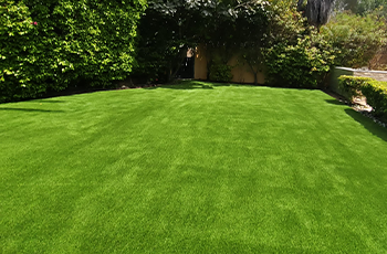 artificial grass garden 2