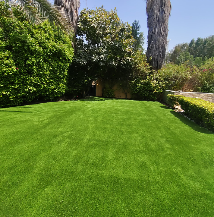 artificial grass garden